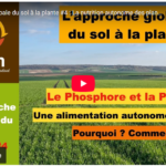 L’approche globale du sol à la plante #4 : La nutrition autonome des plantes. Phosphore et Potasse