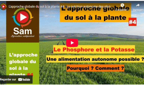 L’approche globale du sol à la plante #4 : La nutrition autonome des plantes. Phosphore et Potasse