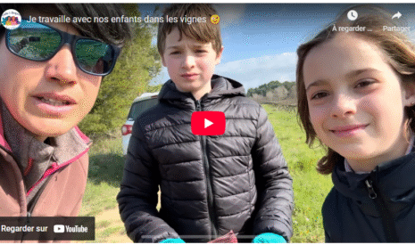 Je travaille avec nos enfants dans les vignes