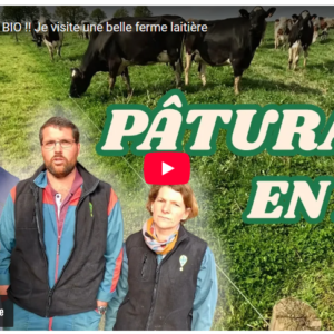 paturage bio visite d'une ferme laitiere