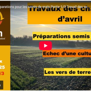 travaux de préparations pour les semis de maïs travail des vers de terre.