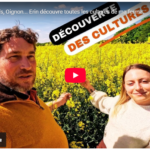Colza, Blé, Maïs, Oignon… Erin découvre toutes les cultures de ma ferme.