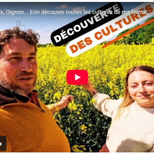 colza, blé, maïs, oignon... erin découvre toutes les cultures de la ferme.