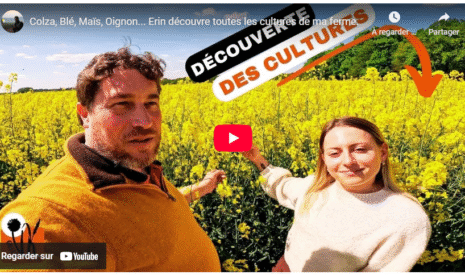 Colza, Blé, Maïs, Oignon… Erin découvre toutes les cultures de ma ferme.