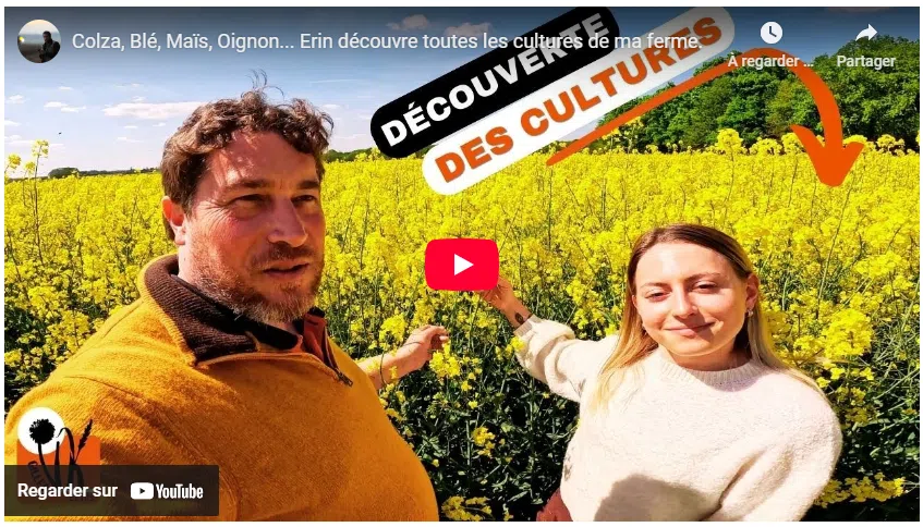 colza, blé, maïs, oignon... erin découvre toutes les cultures de la ferme.