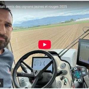 semis des oignons jaunes et rouges 2025