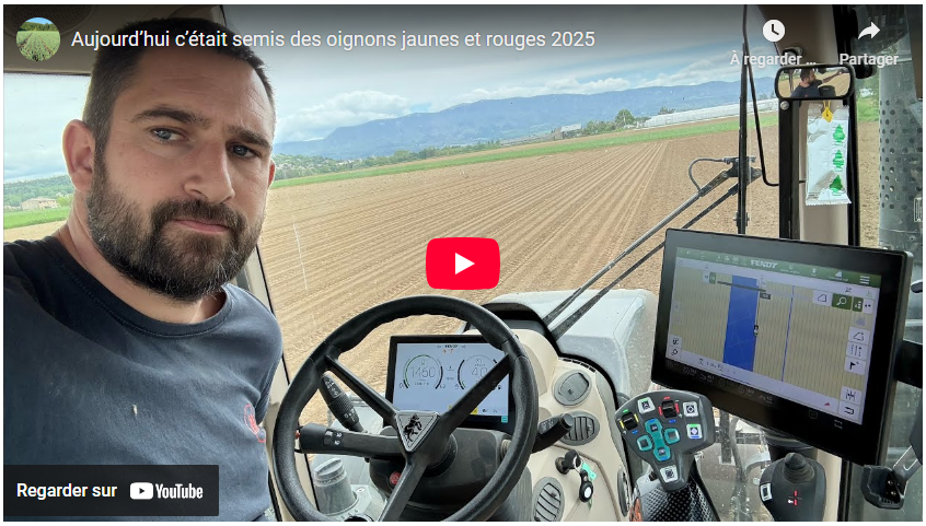 semis des oignons jaunes et rouges 2025