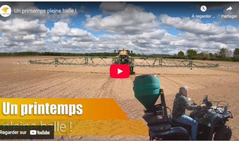 Un printemps pleine balle !