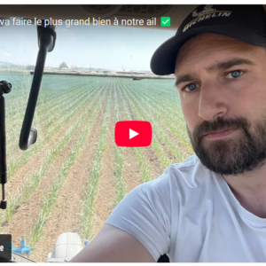 un binage qui va faire le plus grand bien à notre ail