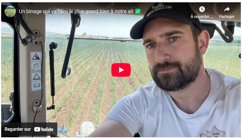 un binage qui va faire le plus grand bien à notre ail