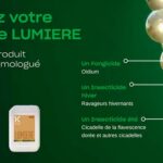 Koppert lance Lumière, l’alternative aux pyrèthres naturels contre la cicadelle de la flavescence dorée
