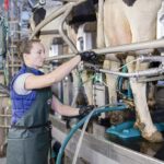 GEA présente le DairyRotor T8600, un système de traite conventionnelle assistée par commande digitale