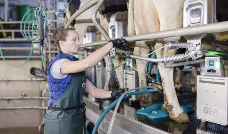 GEA présente le DairyRotor T8600, un système de traite conventionnelle assistée par commande digitale