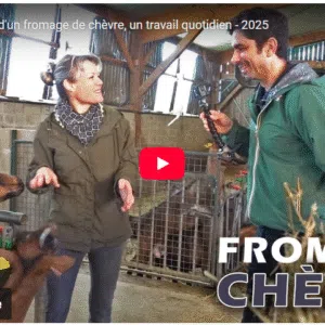 la fabrication d'un fromage de chèvre, un travail quotidien 2025