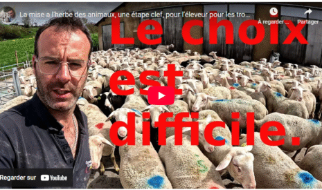La mise à l’herbe des animaux, une étape clef, pour l’éleveur, pour les troupeaux GESTION !!