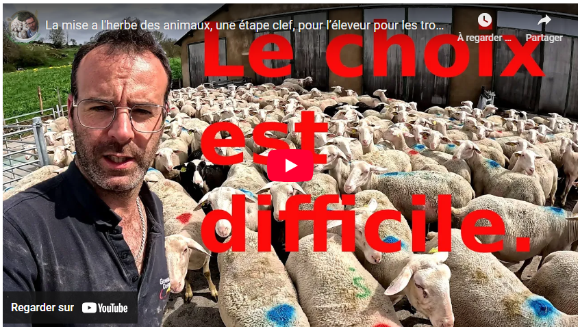 la mise à l'herbe des animaux, une étape clef, pour l’éleveur, pour les troupeaux gestion !!