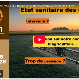 faut il traiter les cultures contre les maladies etat des lieux et réflexions