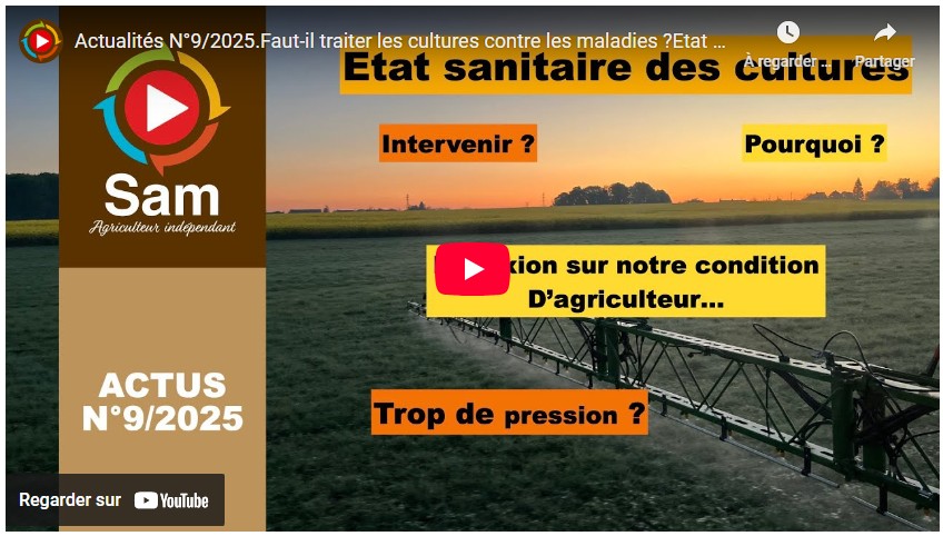 faut il traiter les cultures contre les maladies etat des lieux et réflexions