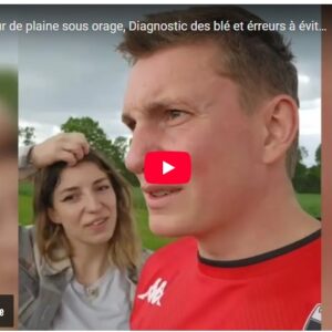 tour de plaine sous orage, diagnostic des blés et erreurs à éviter en direct des champs