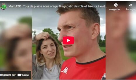 Tour de plaine sous orage, diagnostic des blés et erreurs à éviter en direct des champs