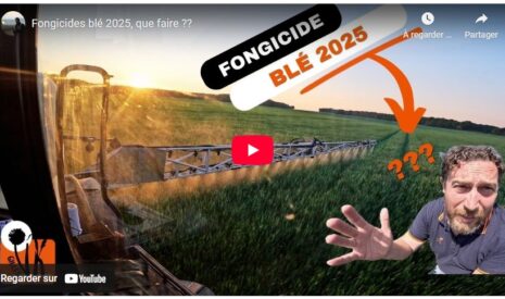 Fongicides blé 2025, que faire ??