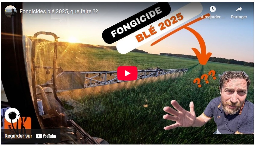 fongicides blé 2025 que faire
