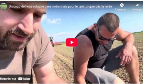 Un coup de houe rotative dans notre maïs pour le tenir propre dès la levée