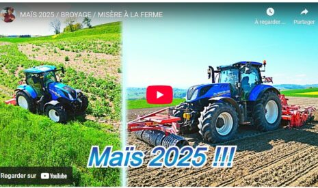Maïs 2025 / Broyage / Misère à la ferme