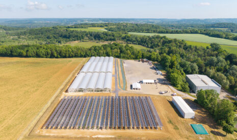 Fruits Rouges & Co inaugure le CAMPUS Fruits Rouges, un site d’innovation dédié à la filière et à l’agrivoltaïsme
