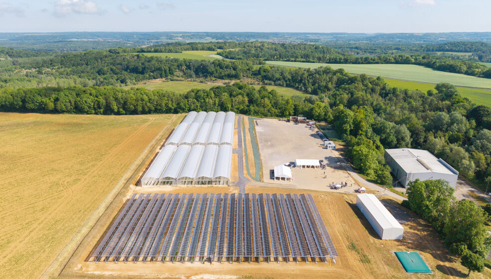Fruits Rouges & Co inaugure le CAMPUS Fruits Rouges, un site d’innovation dédié à la filière et à l’agrivoltaïsme