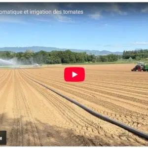 plantation automatique et irrigation des tomates