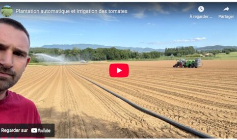 Plantation automatique et irrigation des tomates