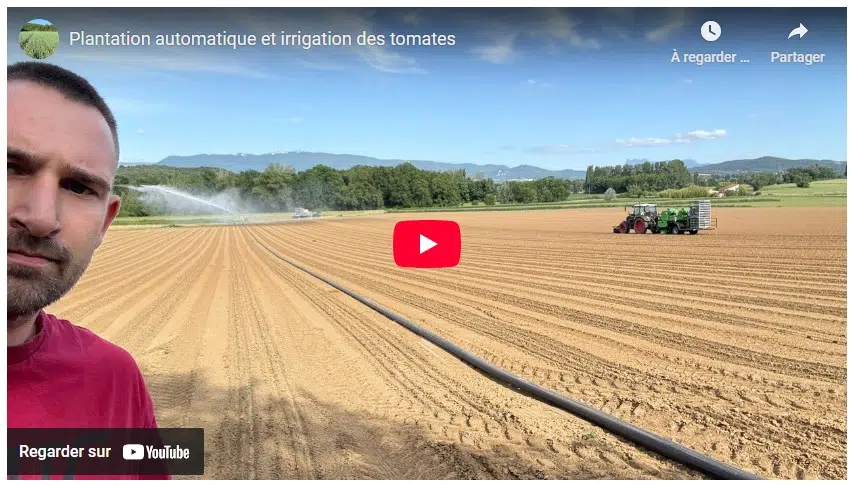 plantation automatique et irrigation des tomates