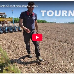 les tournesols se sont bien semés 2025