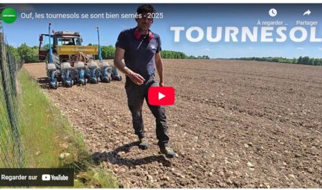 Ouf, les tournesols se sont bien semés – 2025