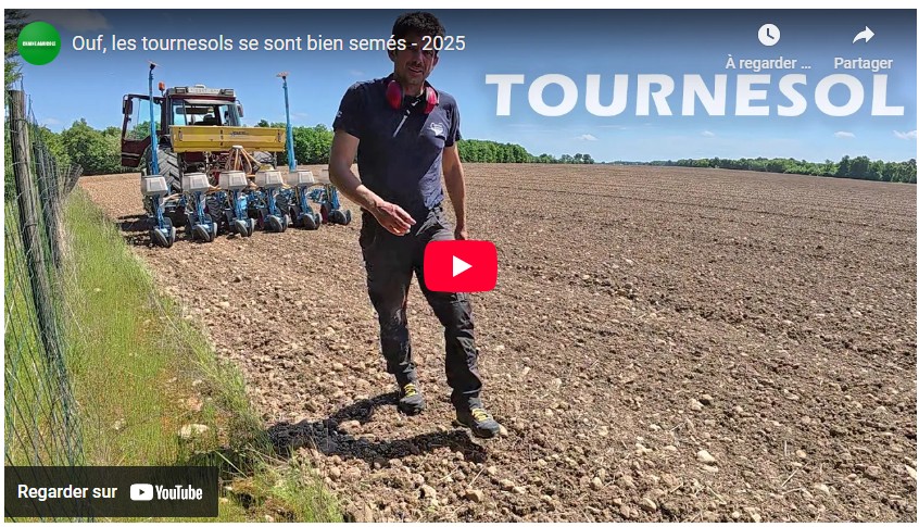 les tournesols se sont bien semés 2025