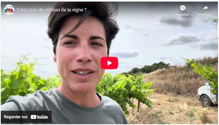 c’est quoi le mildiou de la vigne