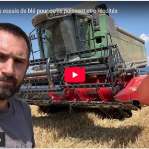 Gaël blard détourne les essais de blé pour qu’ils puissent être récoltés