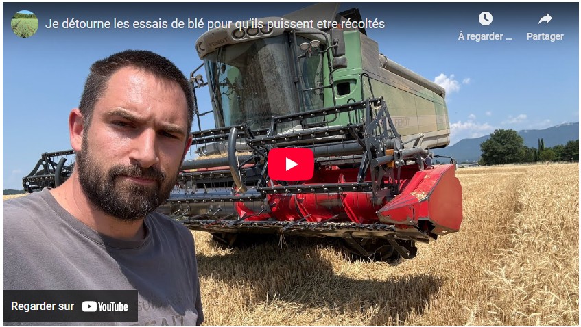 Gaël blard détourne les essais de blé pour qu’ils puissent être récoltés