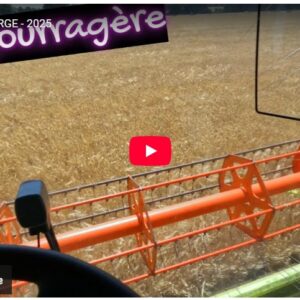 moisson d'orge 2025