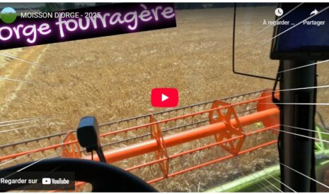 Moisson d’orge 2025