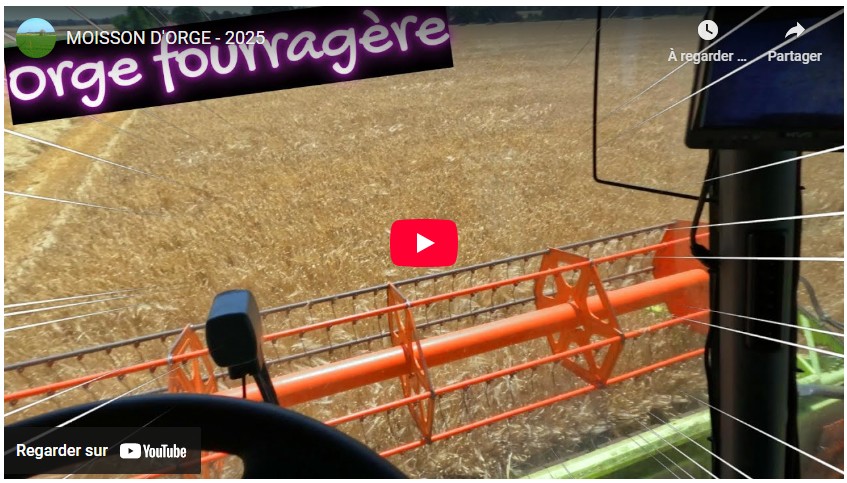 moisson d'orge 2025