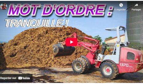 Une semaine chill avec Ji à la ferme, on nettoie tout !