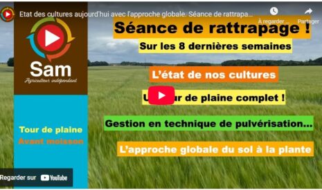 État des cultures aujourd’hui avec l’approche globale. Séance de rattrapage des 8 dernières semaines