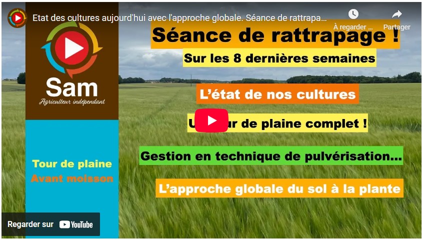 etat des cultures aujourd'hui avec l'approche globale. séance de rattrapage des 8 dernières semaines
