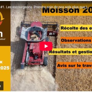 moisson 2025 les escourgeons prendre soin de nos sols plus que jamais.risque incendie et climat