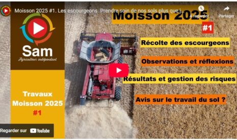 Moisson 2025 #1. Les escourgeons. Prendre soin de nos sols plus que jamais. Risque incendie et climat