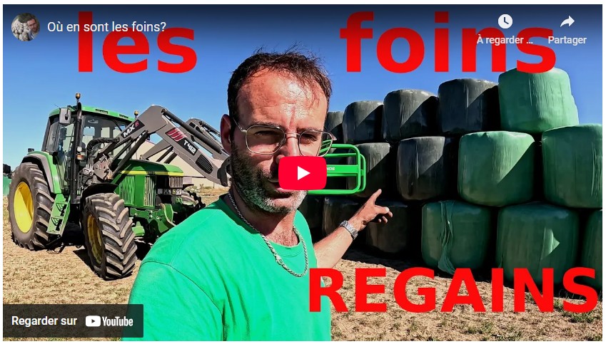 où en sont les foins