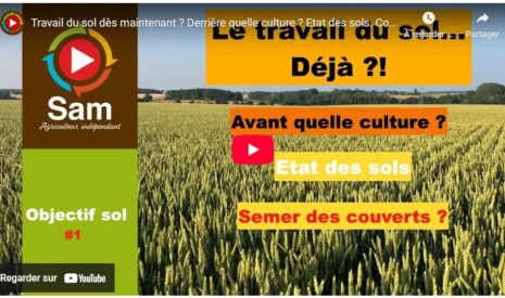 Travail du sol dès maintenant ? Derrière quelle culture ? État des sols. Couverts ? Objectif sol #1