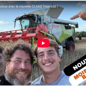 moisson des colzas avec la nouvelle claas trion 650